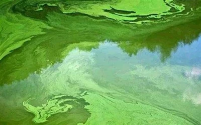 Welke soorten hardheid zijn er in water tijdens waterbehandeling?